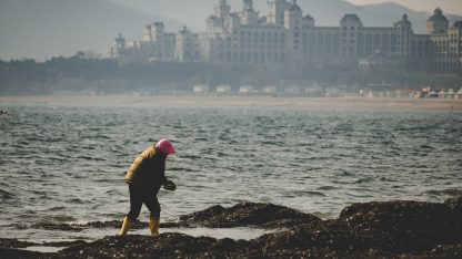 FGTS - Direitos e Orientação Jurídica 2026