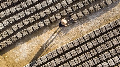 FGTS - Direitos e Orientação Jurídica 2026