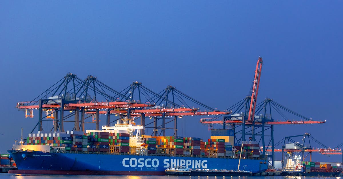 Navio porta-contêineres da Cosco Shipping sendo carregado por guindastes em um porto ao anoitecer. — Foto: Igor Passchier