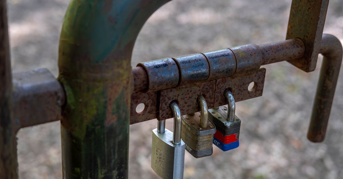 Três cadeados trancando um portão de metal enferrujado em detalhe aproximado. — Foto: David McElwee