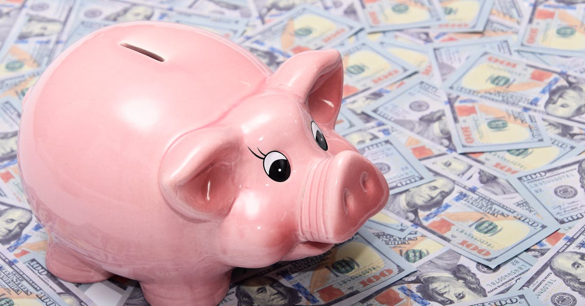Um cofrinho de porquinho rosa sobre várias notas de cem dólares espalhadas. — Foto: adrian vieriu