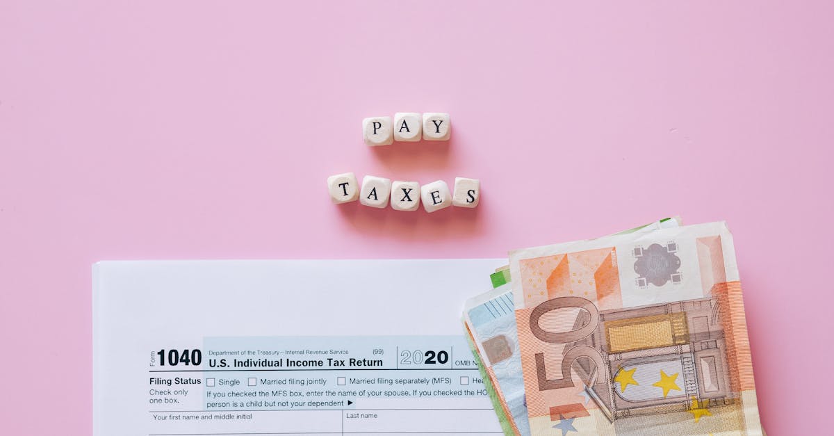 Formulário de imposto de renda dos EUA com notas de Euro e blocos com a frase 'pay taxes' em fundo rosa. — Foto: Leeloo The First