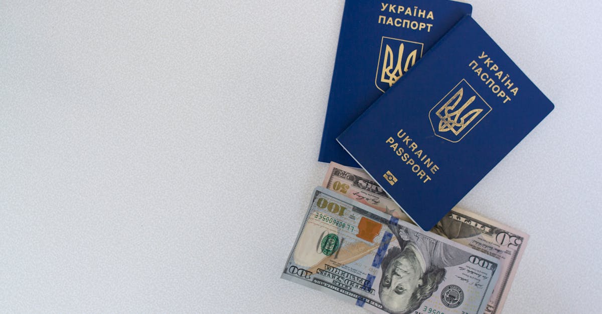 Dois passaportes azuis da ucrânia sobrepostos a notas de dólares americanos em um fundo branco. — foto: borys zaitsev
