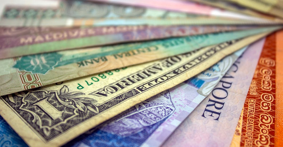 Diversas cédulas de dinheiro de diferentes países empilhadas em leque, com destaque para o dólar americano. — Foto: Karthikeyan Perumal