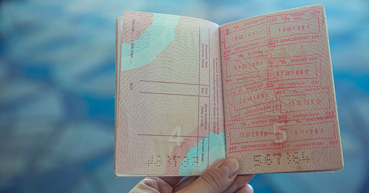 Pessoa segurando passaporte aberto com carimbos de entrada e saída — Foto: Ekaterina Belinskaya