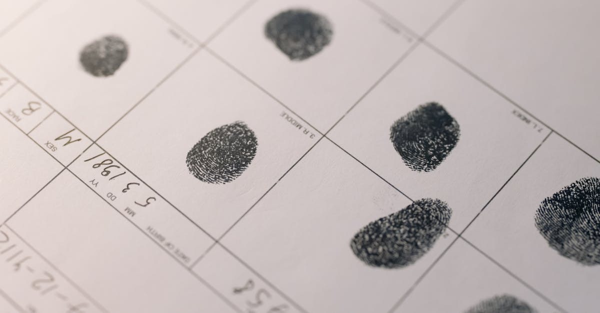 Impressões digitais em papel oficial, usadas em processos legais e identificação. — Foto: cottonbro studio