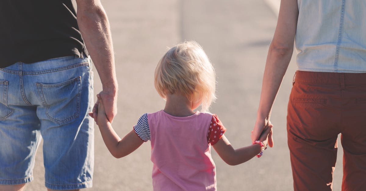 Vista traseira de uma criança pequena de mãos dadas com dois adultos caminhando ao ar livre. — Foto: freestocks.org