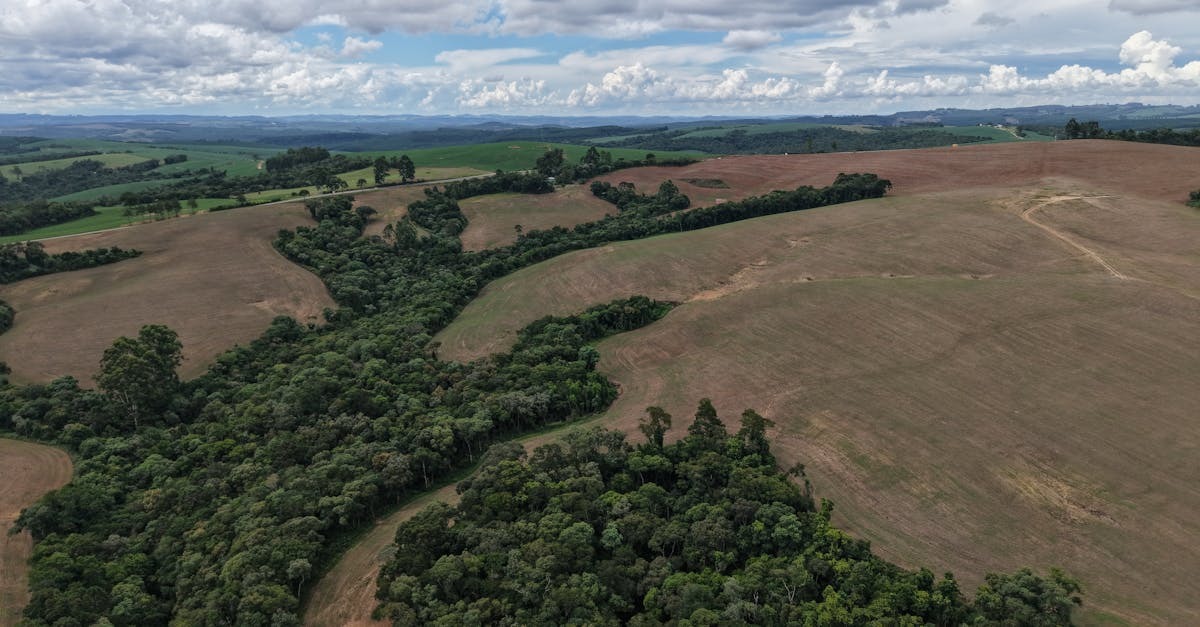 Vista aérea de área de vegetação nativa preservada entre campos de cultivo em propriedade rural. — Foto: Giovani Nunes
