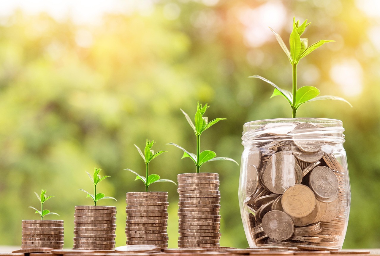 Caixa dois e crimes eleitorais inline 1 409877 1786637118 Moedas acumuladas com plantas crescendo em cada pilha, simbolizando crescimento financeiro.