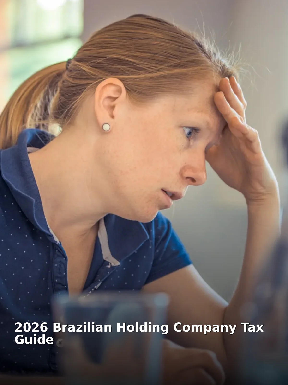 2026 brazilian holding company tax guide