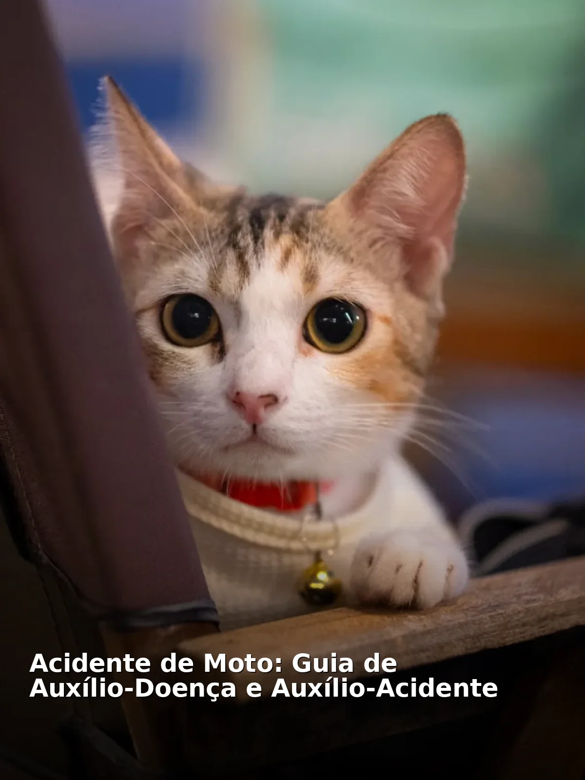 Acidente de Moto: Guia de Auxílio-Doença e Auxílio-Acidente