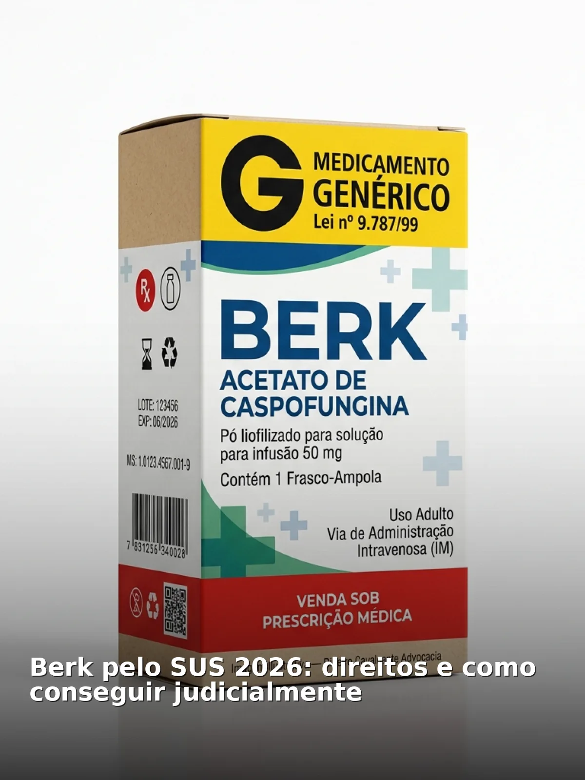 Berk pelo sus 2026: direitos e como conseguir judicialmente