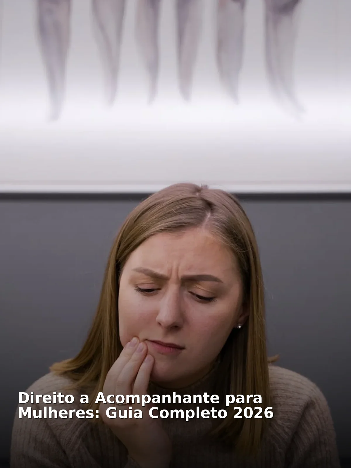 Direito a acompanhante para mulheres: guia completo 2026
