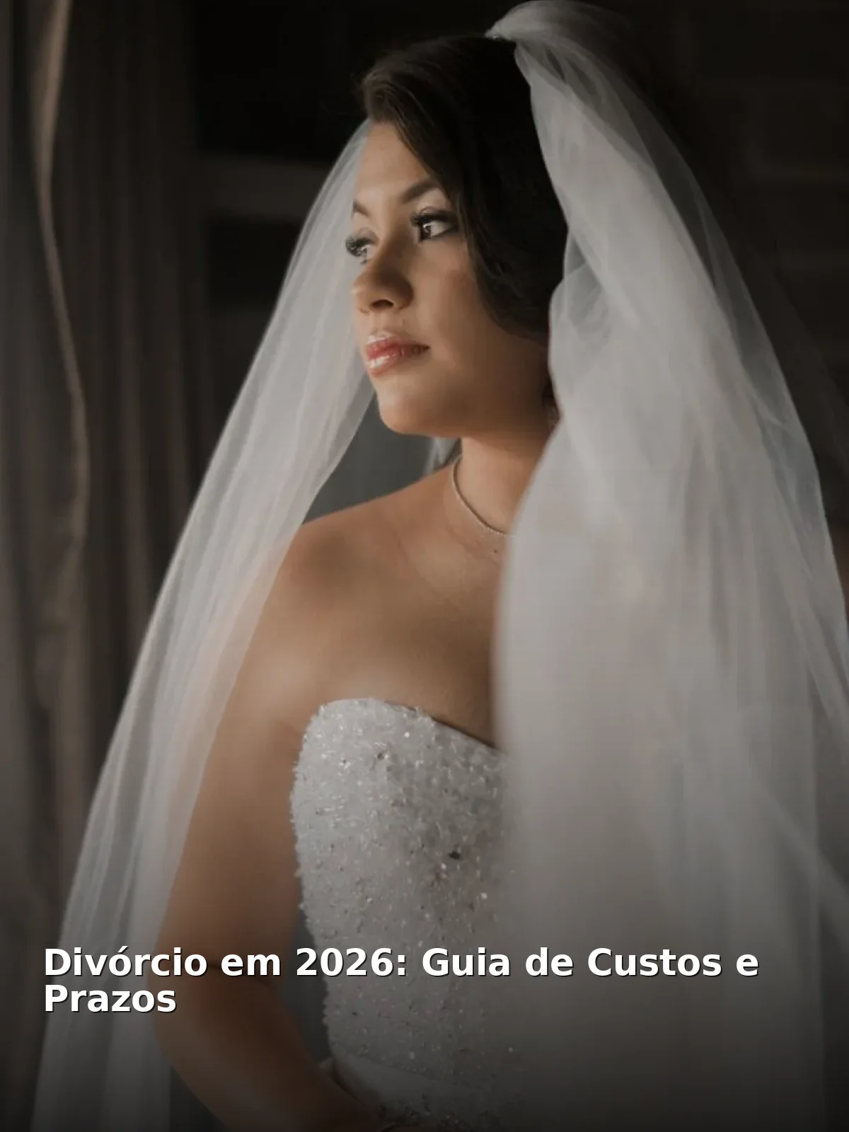 Divórcio em 2026: guia de custos e prazos
