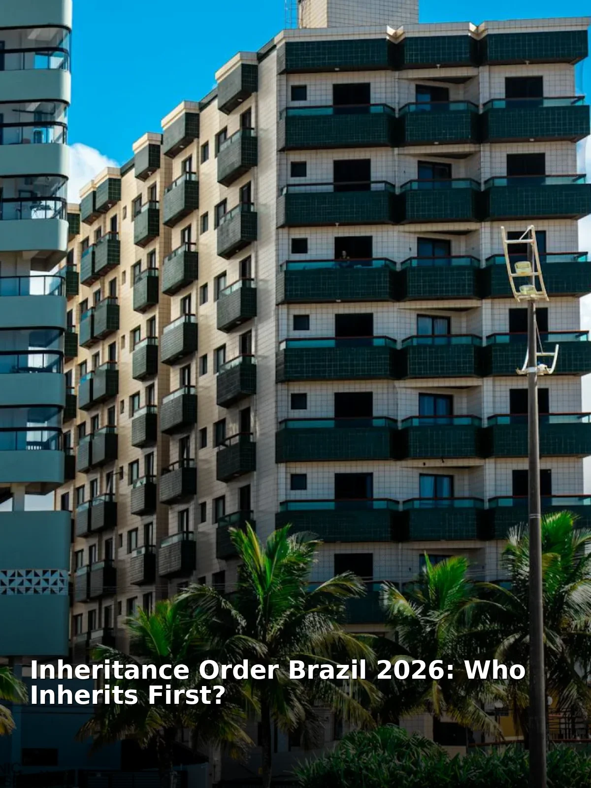 Inheritance order brazil 2026: who inherits first?