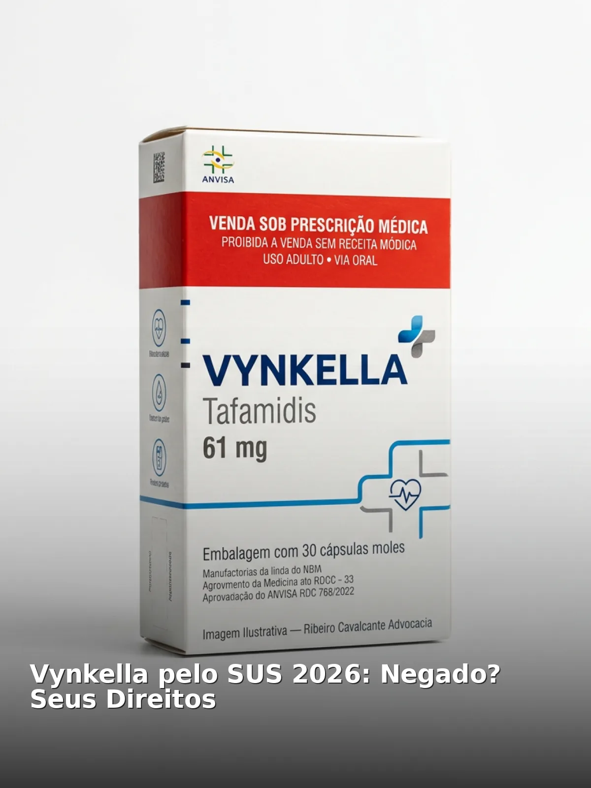 Vynkella pelo sus 2026: negado? Seus direitos